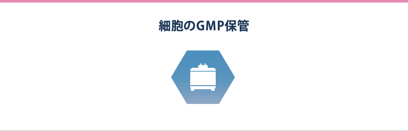 細胞のGMP保管