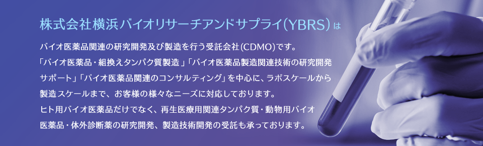 株式会社横浜バイオリサーチアンドサプライ(YBRS)について
